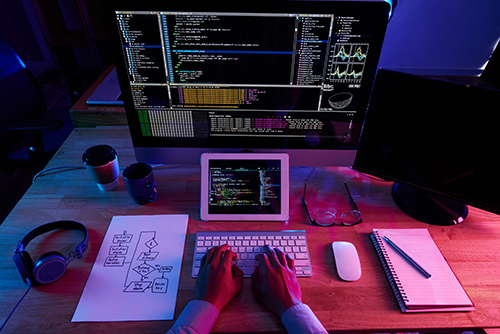 Website Designer, Website Designer
