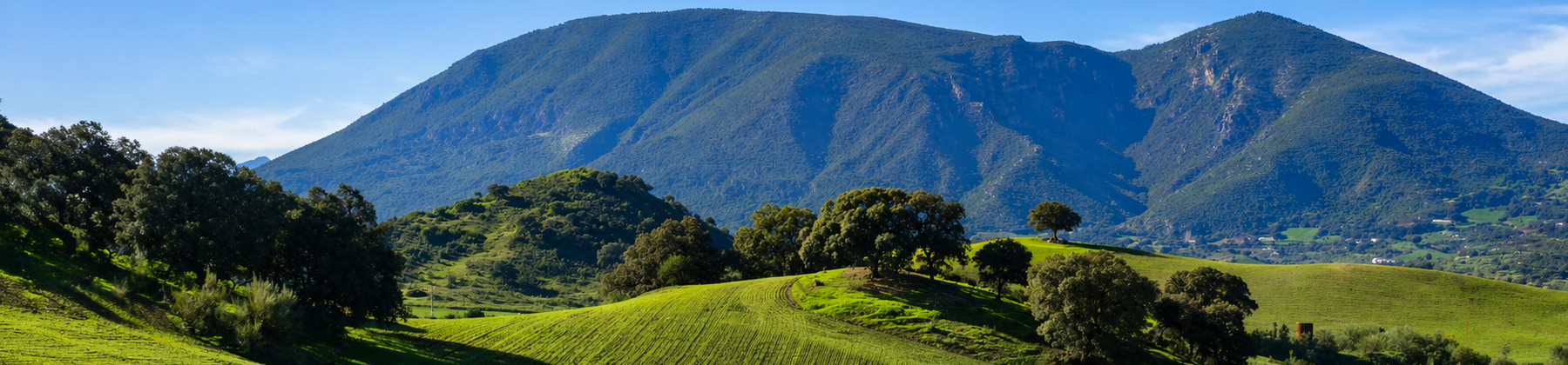 Website design services for businesses in Benicia, California