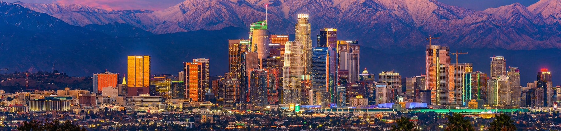 Website design and hosting services for Los Angeles businesses